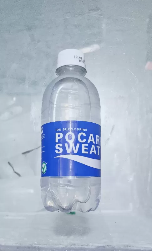 Pocari botol 300ml